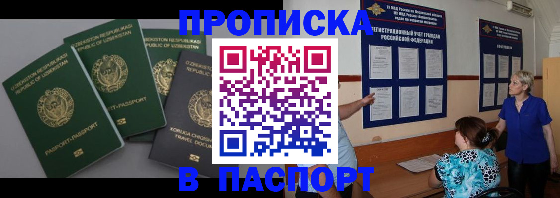 купить прописку в Мытищах